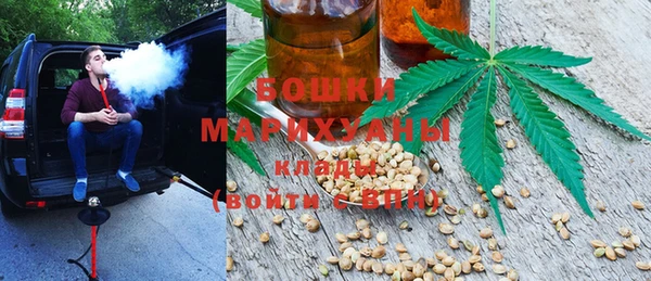 винт Костерёво