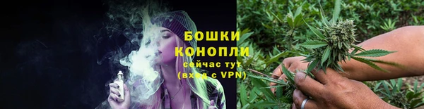 крисы Киренск